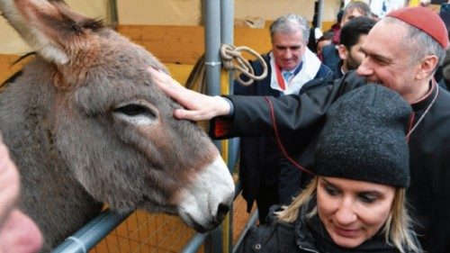 Tiersegnung beim Vatikan am Gedenktag des heiligen Mönchsvaters Antonius TED-003 Tiersegnung beim Vatikan am Gedenktag des heiligen Mönchsvaters Antonius TED-003