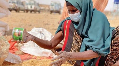 FILE PHOTO: A woman collects grain at a camp for the Internally Displaced People in Adadle district ...