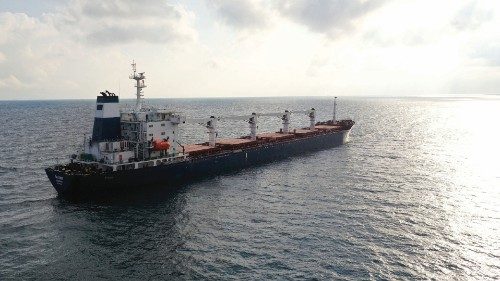 FILE PHOTO: The Sierra Leone-flagged cargo ship Razoni, carrying Ukrainian grain, is seen in the ...