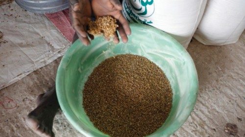 epa10235055 A worker collects millet grains after being separated from impurities at a grain market ...