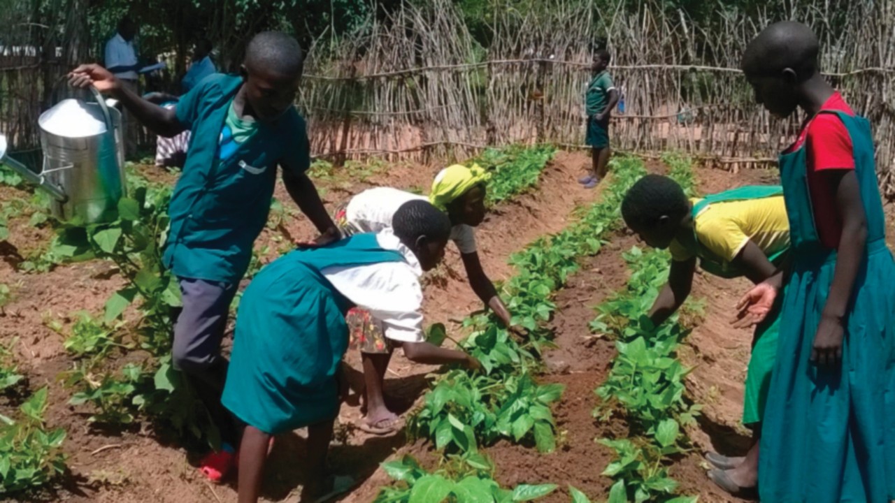 Organic gardens ensure care and dignity for AIDS patients in Malawi - osservatoreromano.va