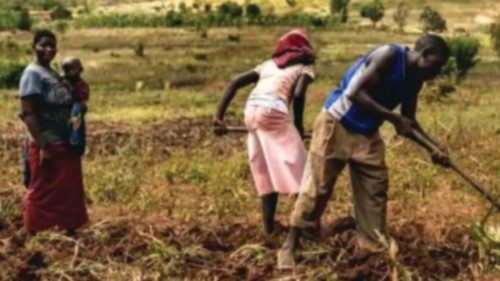 Small family farms play key role in global food production ING-012 Small family farms play key role in global food production ING-012