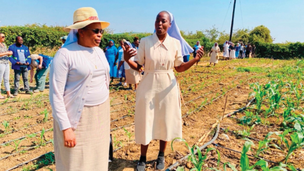  Laudato Si’ in action  ING-043