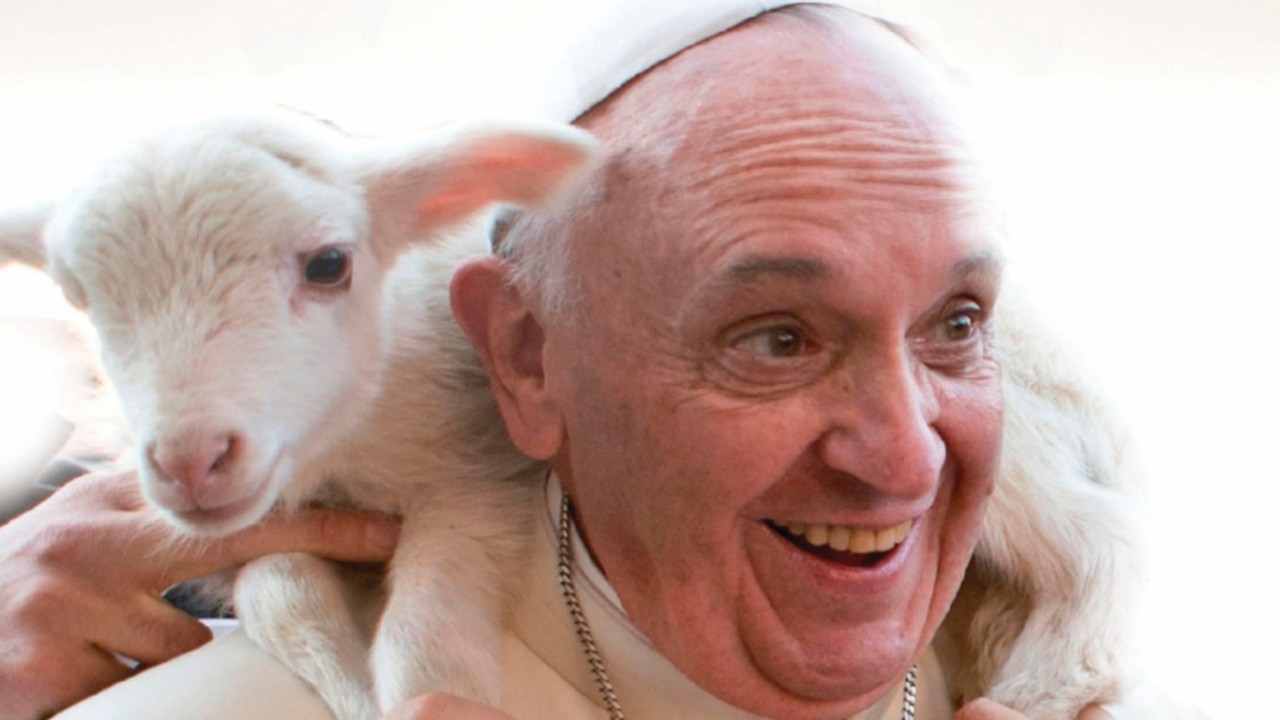  The Pope of Mercy  ING-005