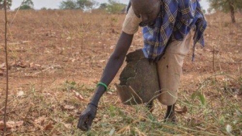 Mary Akoye picks wild leaves from the bush to eat. Since fleeing her home in Unity State in April ... Mary Akoye picks wild leaves from the bush to eat. Since fleeing her home in Unity State in April ...
