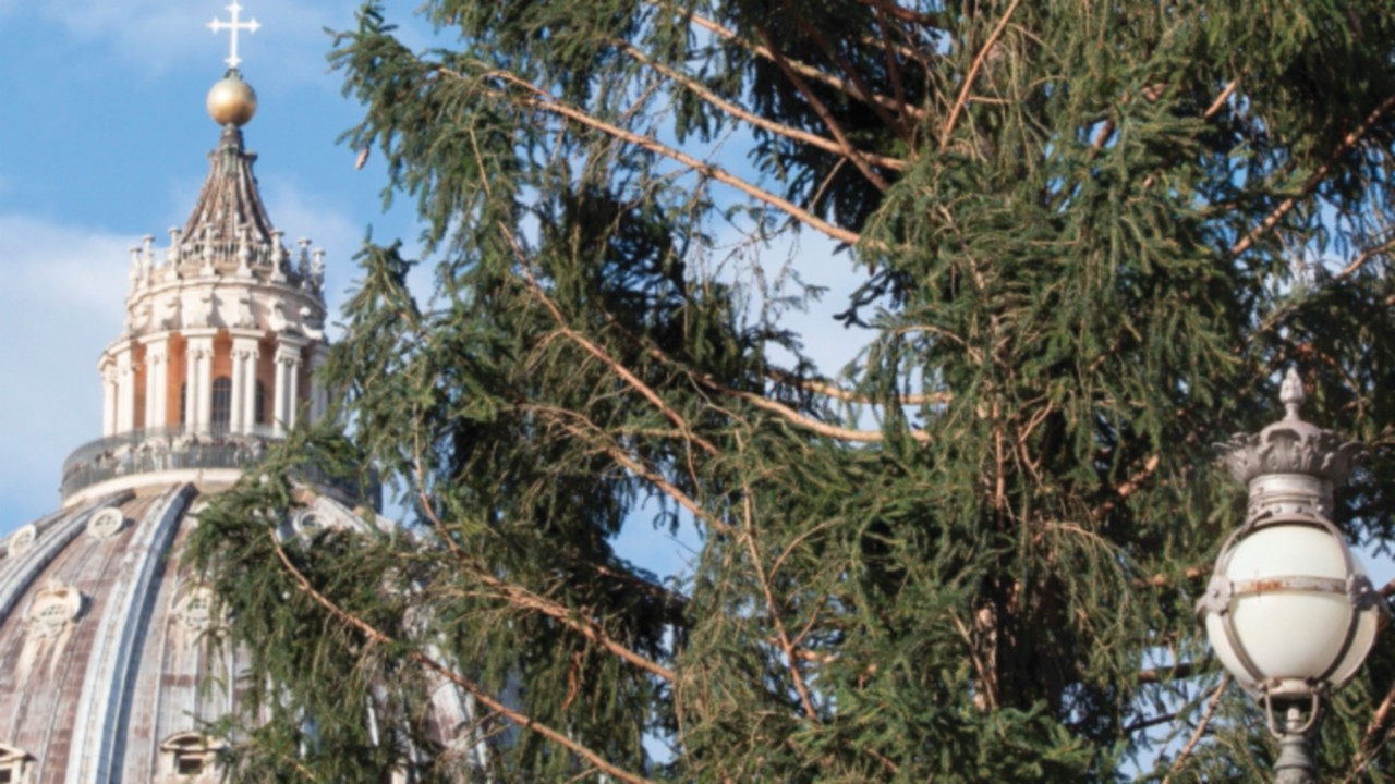  El 9 de diciembre la inauguración del árbol y del pesebre en la plaza de San Pedro  SPA-049