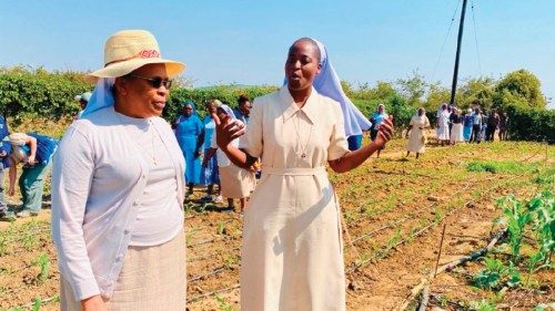 Las monjas en Zambia realizan una agricultura eco-compatible SPA-042 Las monjas en Zambia realizan una agricultura eco-compatible SPA-042