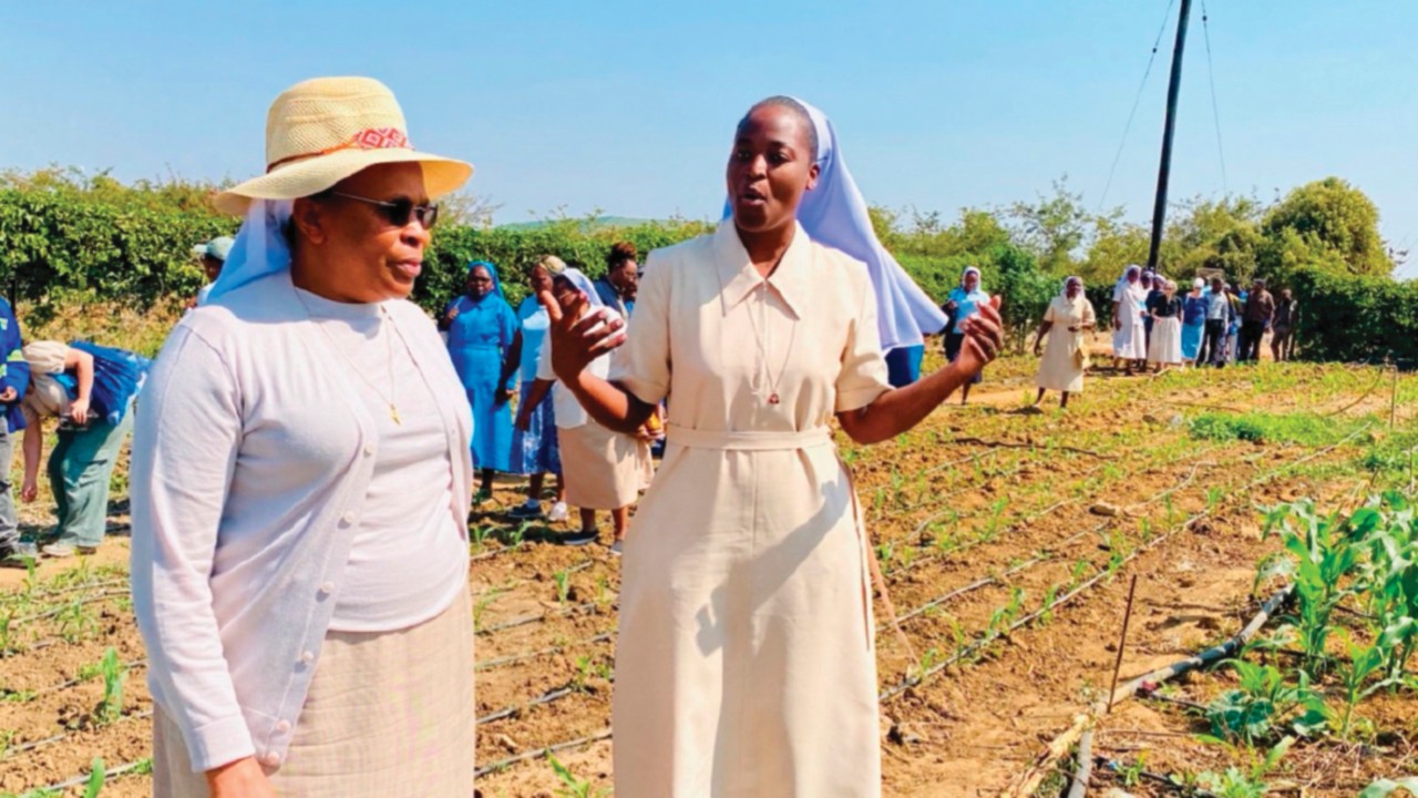  Las monjas en Zambia realizan  una agricultura  eco-compatible   SPA-042
