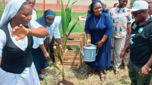 Ghana: las monjas enseñan a plantar árboles con el proyecto “Crecer para un mañana más verde” ... Ghana: las monjas enseñan a plantar árboles con el proyecto “Crecer para un mañana más verde” ...