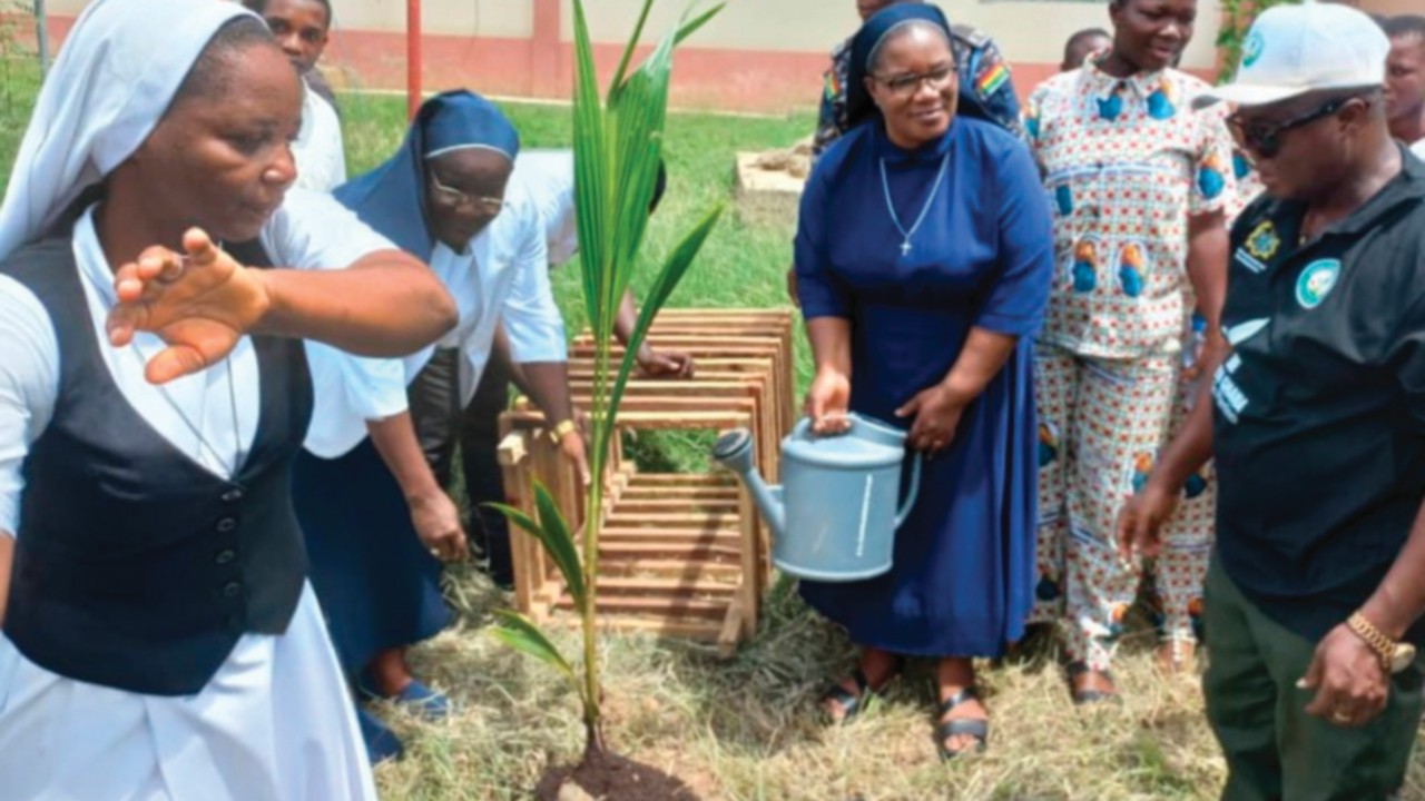  Ghana: las monjas enseñan a plantar árboles con  el proyecto “Crecer para un mañana más verde”  ...
