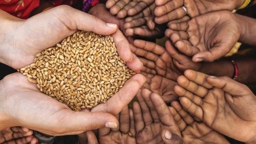 La malnutrition est un crime qui viole les droits humains FRA-031 La malnutrition est un crime qui viole les droits humains FRA-031