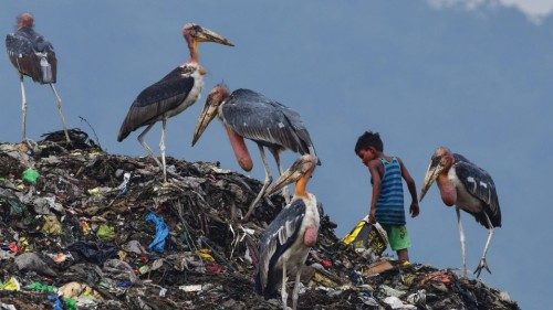 A boy searches for recyclable materials next to greater adjutant storks at a garbage dumpsite in ...