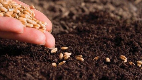 Pour un système agricole et alimentaire plus inclusif et durable FRA-008 Pour un système agricole et alimentaire plus inclusif et durable FRA-008