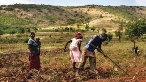 Le rôle fondamental des familles des petits exploitants agricoles FRA-013 Le rôle fondamental des familles des petits exploitants agricoles FRA-013