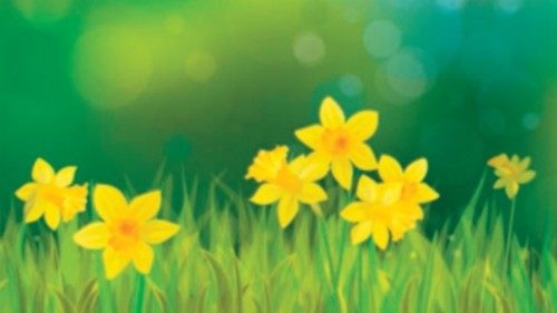 Background is my creative handdrawing and you can use it for spring, summer, Easter design and etc, ... Background is my creative handdrawing and you can use it for spring, summer, Easter design and etc, ...