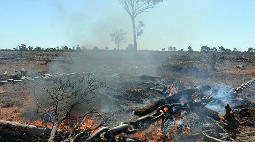 Le conseguenze di incendi e deforestazione nello stato australiano del Queensland (Ap)