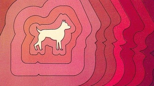 Particolare della copertina del libro «Fiorello, réquiem para un perro» (Impulso, 1973) Particolare della copertina del libro «Fiorello, réquiem para un perro» (Impulso, 1973)