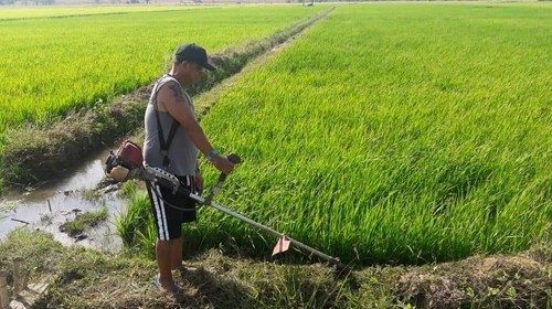Filippine Laudato si.jpg Filippine Laudato si.jpg