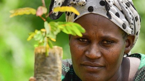 A woman poses for a photograph as she takes care of seedlings at a nursery outside of Buee, about ...