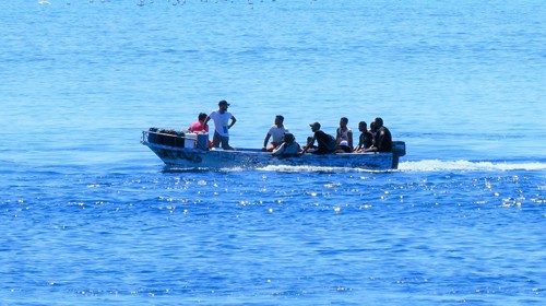 Operazioni di salvataggio di migranti al largo di Lampedusa (Ansa)