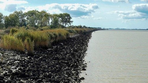 A picture shows a bank of the Loire river in the ZAD (Zone to Defend) of Le Carnet in Frossay, ...