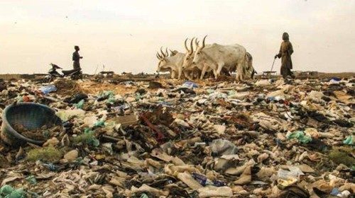 figueroa ecologia.jpg figueroa ecologia.jpg
