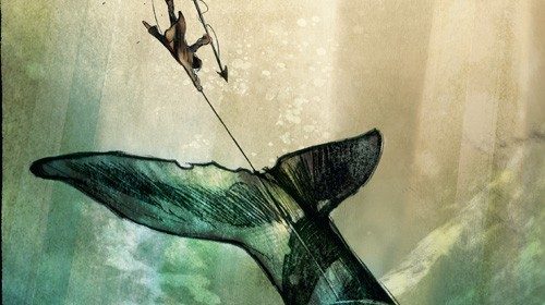 Un particolare della copertina di «Moby Dick» (nell’adattamento di Olivier Jouvray e Pierre Alary, Edizioni Dib Buks)