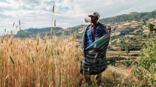 TOPSHOT - Zeleke Alabachew, farmer and militia fighter, poses in his land near the village of ...