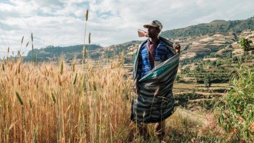 TOPSHOT - Zeleke Alabachew, farmer and militia fighter, poses in his land near the village of ... TOPSHOT - Zeleke Alabachew, farmer and militia fighter, poses in his land near the village of ...