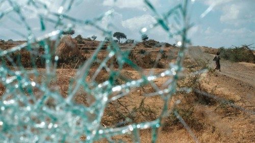 A woman, photographed through the shattered windshield of an abandoned Tigrayan military truck, ...