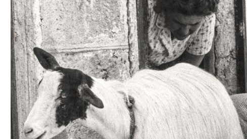 Una foto scattata da Leonardo Sciascia ed esposta alla mostra allestita nella sua città nativa Una foto scattata da Leonardo Sciascia ed esposta alla mostra allestita nella sua città nativa