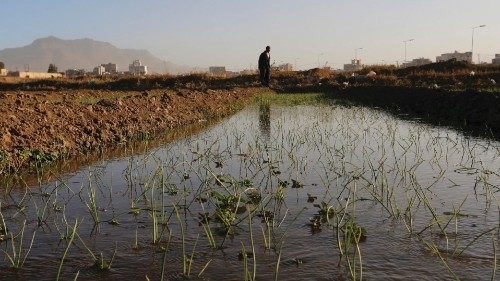 Un agricoltore alla periferia di Sana’a Secondo l’Onu l’insicurezza alimentare è ai massimi livelli (Epa)