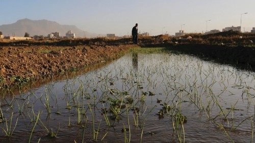 Un agricoltore alla periferia di Sana’a Secondo l’Onu l’insicurezza alimentare è ai massimi livelli (Epa) Un agricoltore alla periferia di Sana’a Secondo l’Onu l’insicurezza alimentare è ai massimi livelli (Epa)