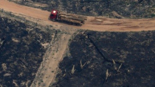 FILE PHOTO: A truck drives through a deforested plot of the Amazon in Boca do Acre, Amazonas state, ...