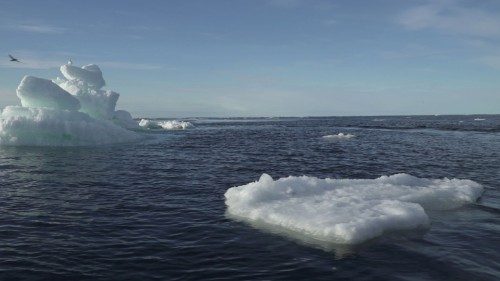 FILE PHOTO: Floating ice is seen during the expedition of the The Greenpeace's Arctic Sunrise ship ...