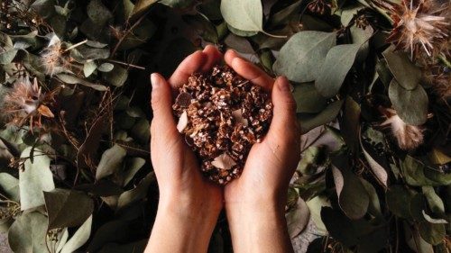 L’azienda Ca’ Magre ha scelto di produrre rispettando i cicli della terra L’azienda Ca’ Magre ha scelto di produrre rispettando i cicli della terra