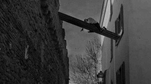 La ricostruzione dell’asse di legno che collegava casa Cecchini al Passetto La ricostruzione dell’asse di legno che collegava casa Cecchini al Passetto