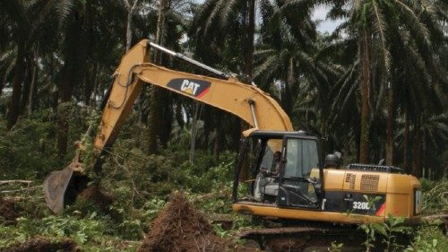A workman stands in front of an excavator that is clearing land for a palm oil plantation in Malen ...