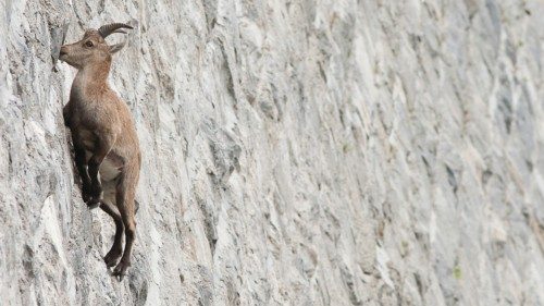  Sintomi di un pianeta in sofferenza  QUO-104