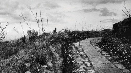 Marco Delogu «Sentiero dell’isola di Santo Stefano» Marco Delogu «Sentiero dell’isola di Santo Stefano»