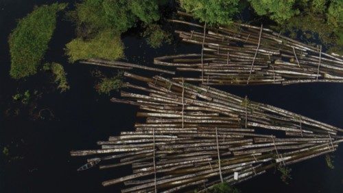 Convogli di legname sul fiume Manacapuru (Oliveira/Afp)