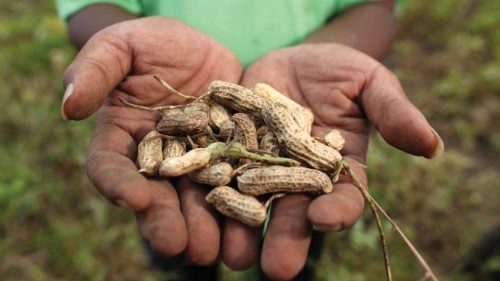 Improving rural growth is critical for equitable development across Indonesia. The Australia ... Improving rural growth is critical for equitable development across Indonesia. The Australia ...