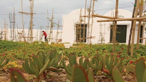 A picture shows the 'Jardin d'Afrique', or Garden of Africa in French, a cemetery in southern ...