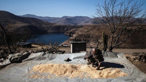 Lesotho, sullo sfondo la  diga Katse.  In primo piano il misero raccolto  di un contadino (Afp)  