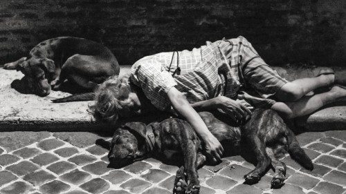 Una fotografia realizzata da Fabio Marcangeli Una fotografia realizzata da Fabio Marcangeli