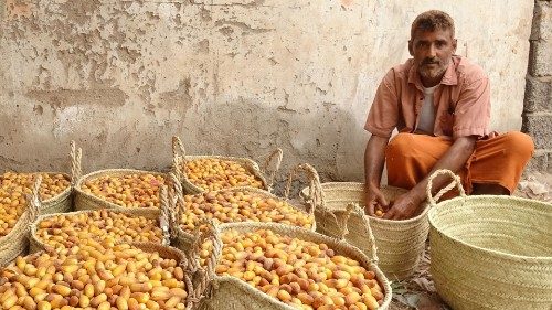 A Yemeni farmer sells freshly picked dates during the annual harvest season in al-Durayhimi district ...