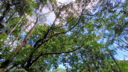 Un diario di acqua, di terra e di cielo QUO-164 Un diario di acqua, di terra e di cielo QUO-164