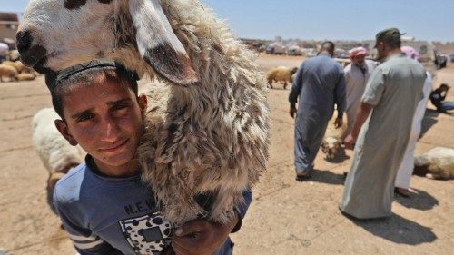 A shepherd carries a sheep at a livestock market in the town of Dana, east of the Turkish-Syrian ...