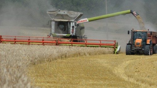 This file photo taken in Verrieres, northwestern France, on July 21, 2021 shows a French farmer and ...