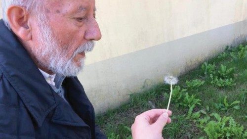 Se il borgo è cura QUO-174 Se il borgo è cura QUO-174